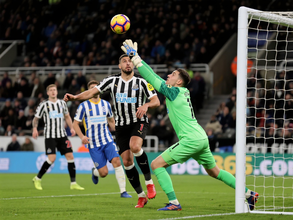 网首页的相 网首页的相